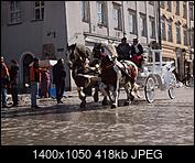 Kliknij obrazek, aby uzyskać większą wersję

Nazwa:	P3178519 (Kopiowanie).JPG
Wyświetleń:	60
Rozmiar:	418,4 KB
ID:	162258