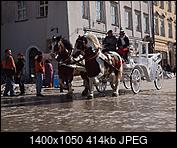 Kliknij obrazek, aby uzyskać większą wersję

Nazwa:	P3178520 (Kopiowanie).JPG
Wyświetleń:	56
Rozmiar:	413,9 KB
ID:	162259