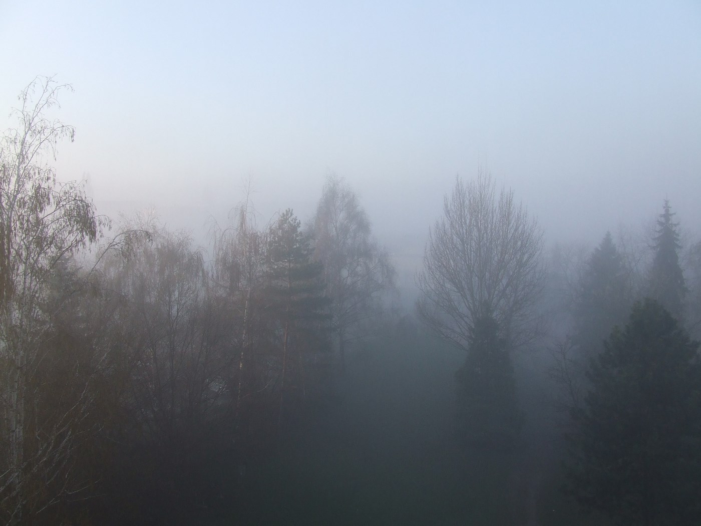 Kliknij obrazek, aby uzyskać większą wersję

Nazwa:	DSCF5957.JPG
Wyświetleń:	258
Rozmiar:	176,8 KB
ID:	162270