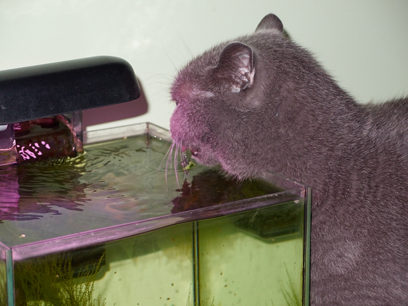 Kliknij obrazek, aby uzyskać większą wersję

Nazwa:	PB250206.jpg
Wyświetleń:	214
Rozmiar:	300,6 KB
ID:	162454