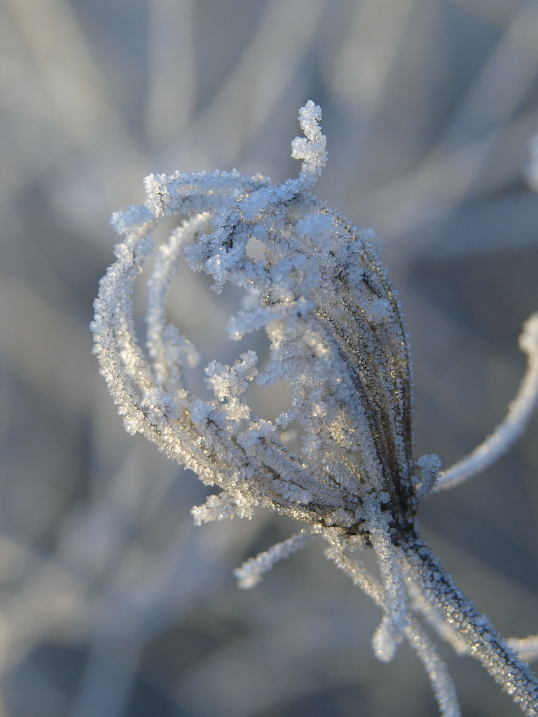 Kliknij obrazek, aby uzyskać większą wersję

Nazwa:	27112015_KK274395.1.jpg
Wyświetleń:	185
Rozmiar:	350,7 KB
ID:	162606