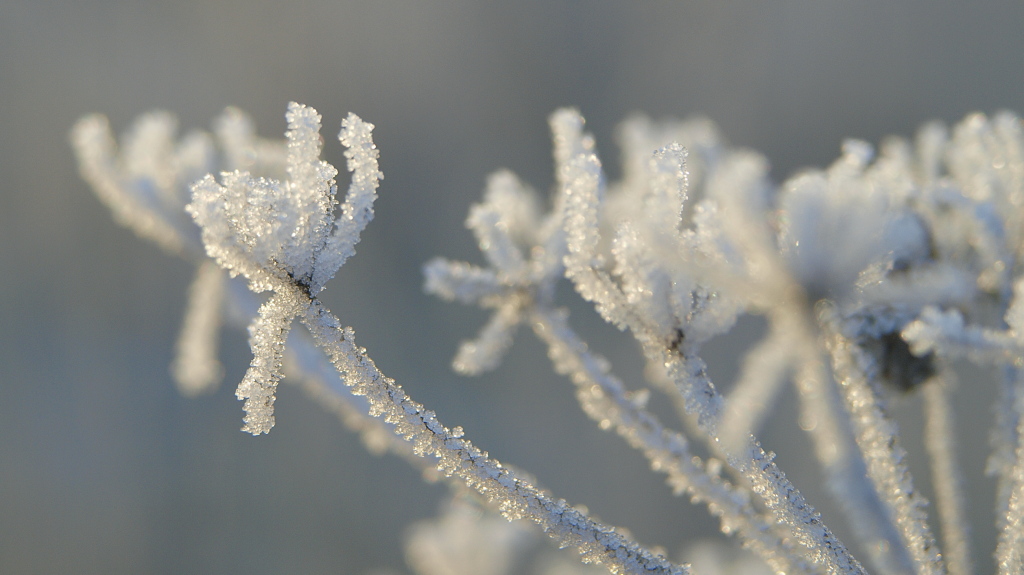 Kliknij obrazek, aby uzyskać większą wersję

Nazwa:	27112015_KK274399.1.jpg
Wyświetleń:	181
Rozmiar:	224,7 KB
ID:	162607