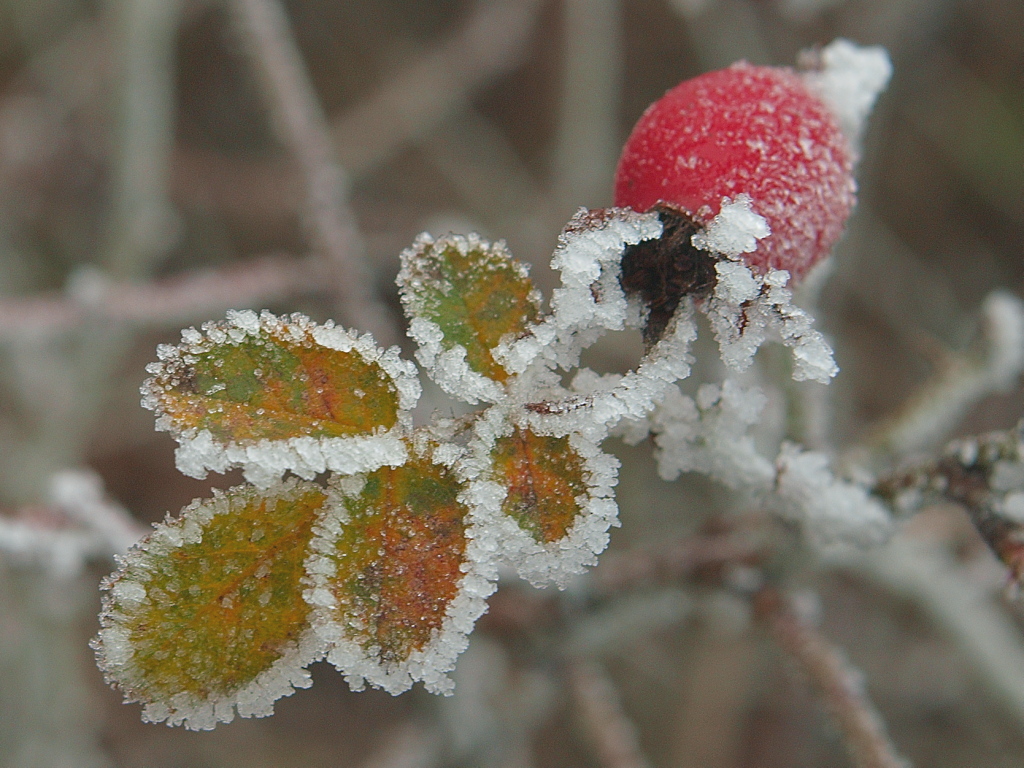 Kliknij obrazek, aby uzyskać większą wersję

Nazwa:	27112015_KK274459.1.jpg
Wyświetleń:	156
Rozmiar:	433,9 KB
ID:	162627