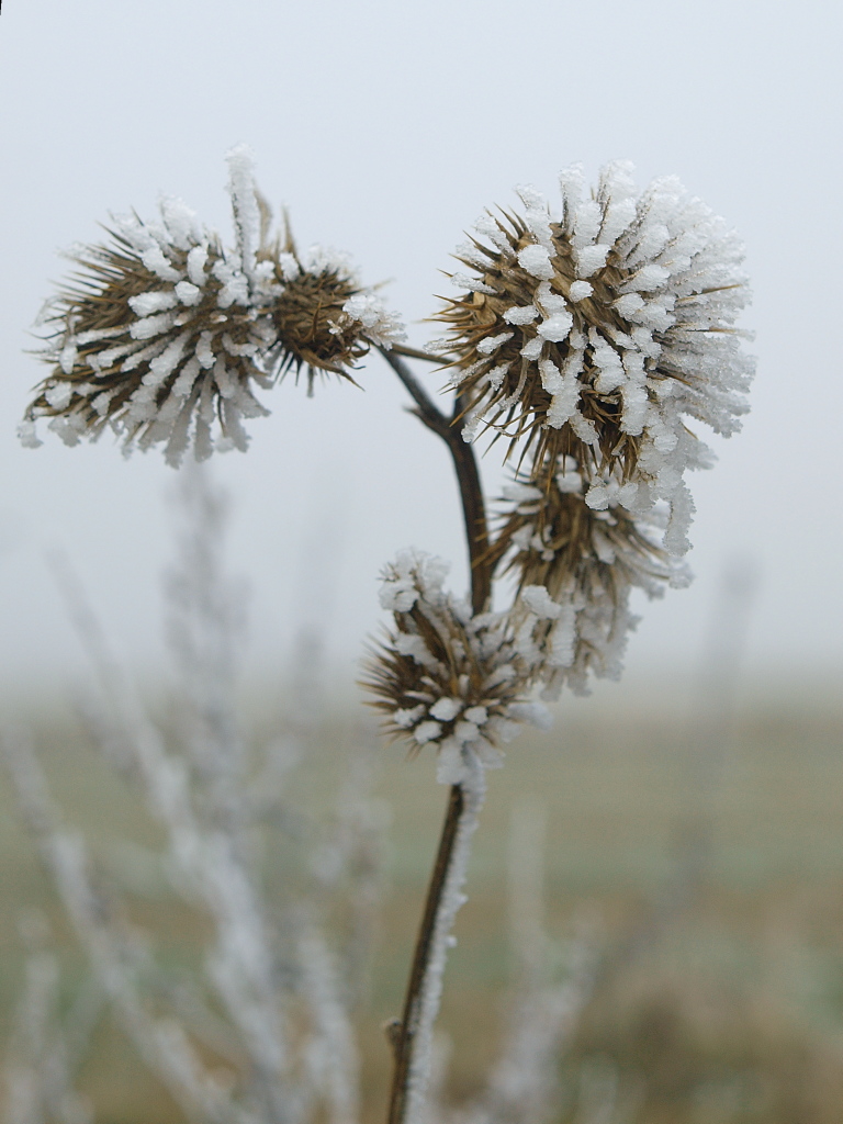 Kliknij obrazek, aby uzyskać większą wersję

Nazwa:	27112015_KK274477.1.jpg
Wyświetleń:	147
Rozmiar:	296,5 KB
ID:	162637