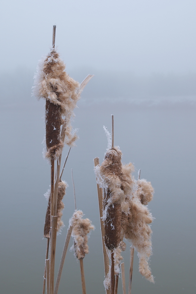 Kliknij obrazek, aby uzyskać większą wersję

Nazwa:	27112015_KK274448.1.jpg
Wyświetleń:	148
Rozmiar:	215,4 KB
ID:	162639