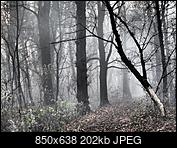 Kliknij obrazek, aby uzyskać większą wersję

Nazwa:	PjanymZB9tMkbFzuSXY45XdvCbeN2KD2PvSZGs5fg1E.jpg
Wyświetleń:	52
Rozmiar:	202,4 KB
ID:	162666