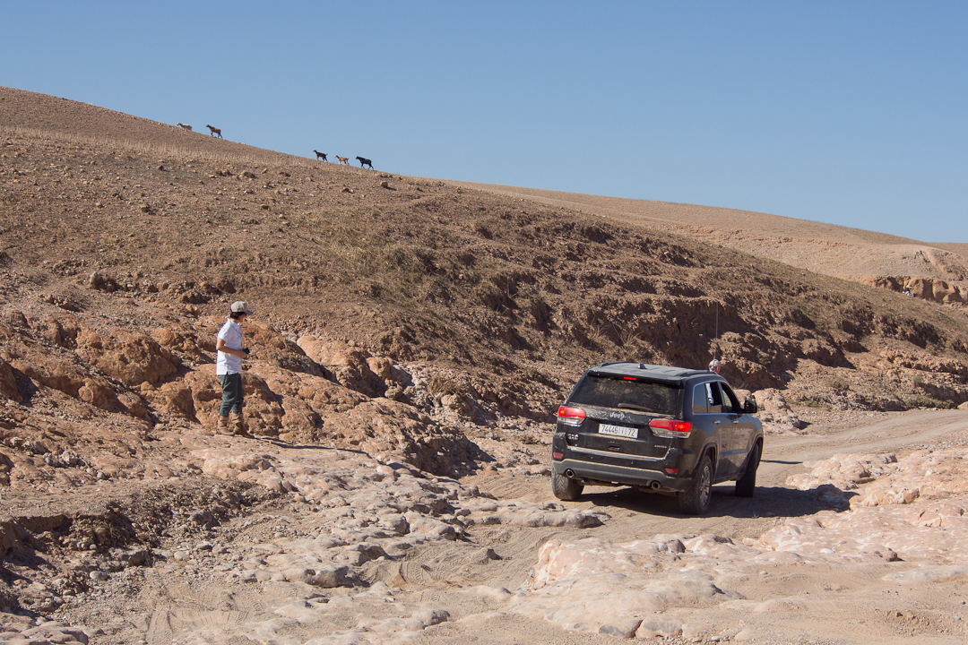 Kliknij obrazek, aby uzyskać większą wersję

Nazwa:	GG190231.jpg
Wyświetleń:	145
Rozmiar:	955,1 KB
ID:	162702