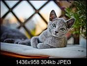 Kliknij obrazek, aby uzyskać większą wersję

Nazwa:	10454510_662133123869548_4938102296281319828_o.jpg
Wyświetleń:	87
Rozmiar:	304,2 KB
ID:	162849