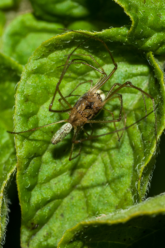 Kliknij obrazek, aby uzyskać większą wersję

Nazwa:	_DSC5335.JPG
Wyświetleń:	269
Rozmiar:	740,0 KB
ID:	163052