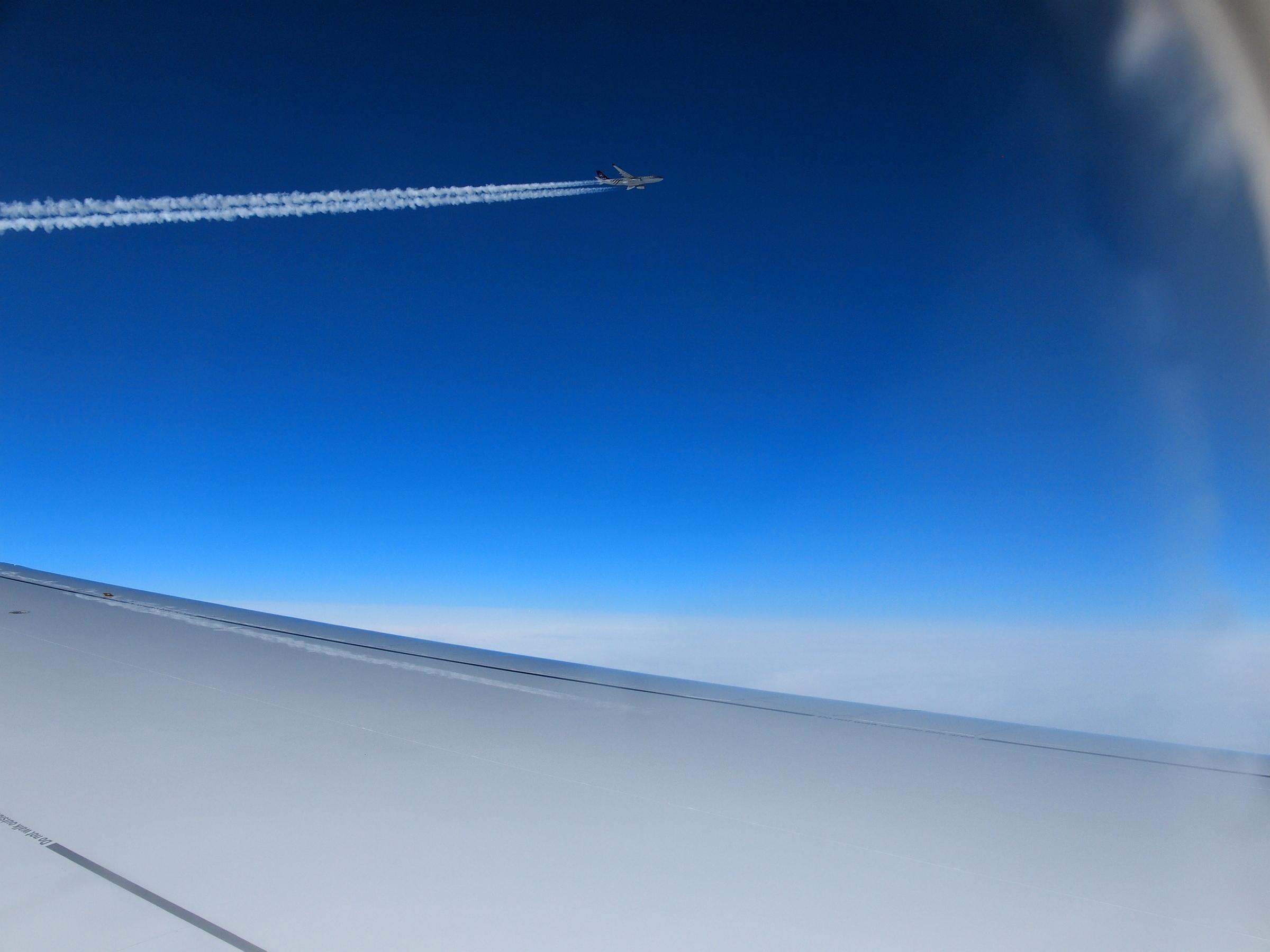 Kliknij obrazek, aby uzyskać większą wersję

Nazwa:	P3298489_bliskie spotkanie.jpg
Wyświetleń:	97
Rozmiar:	943,8 KB
ID:	163226