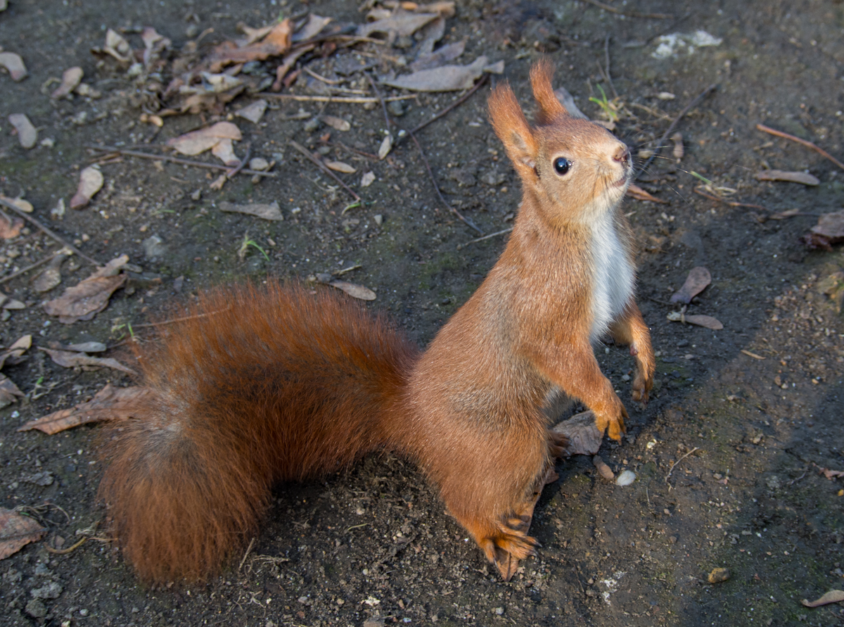 Kliknij obrazek, aby uzyskać większą wersję

Nazwa:	GG067951.jpg
Wyświetleń:	153
Rozmiar:	1.011,6 KB
ID:	163237