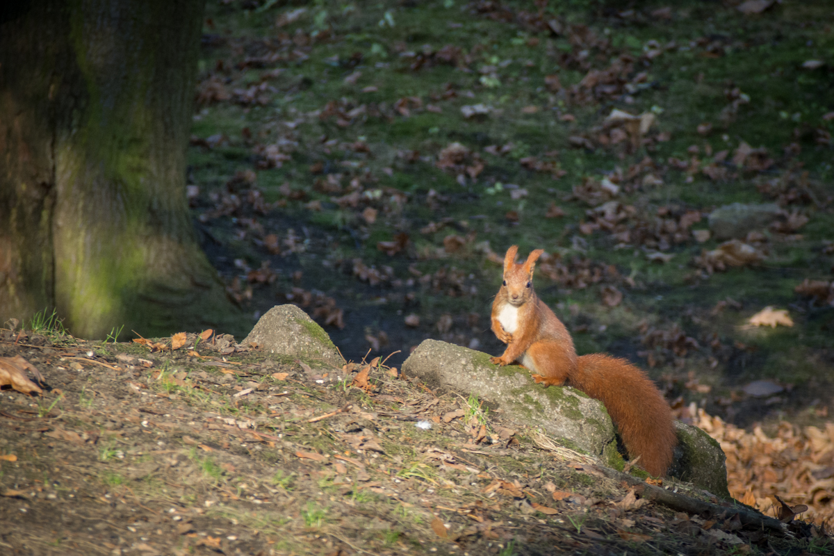Kliknij obrazek, aby uzyskać większą wersję

Nazwa:	GG067958.jpg
Wyświetleń:	156
Rozmiar:	802,5 KB
ID:	163238