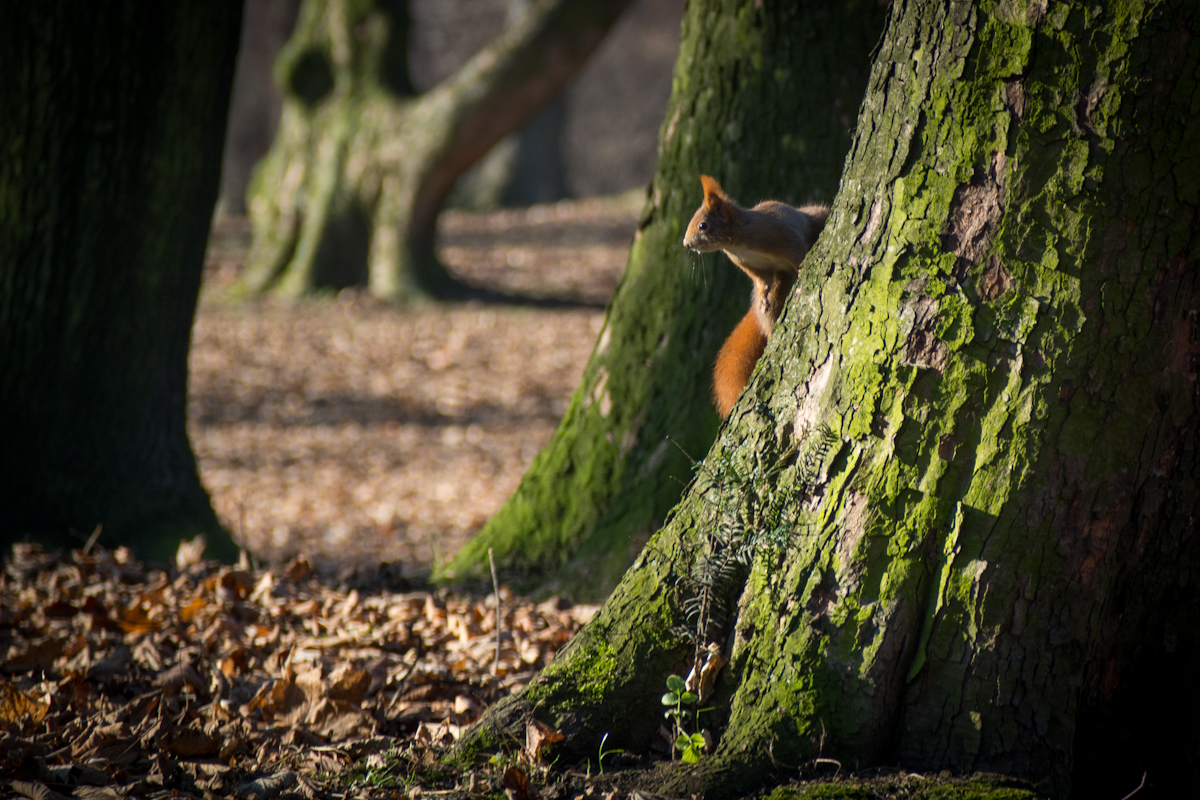 Kliknij obrazek, aby uzyskać większą wersję

Nazwa:	GG068034.jpg
Wyświetleń:	145
Rozmiar:	850,9 KB
ID:	163240