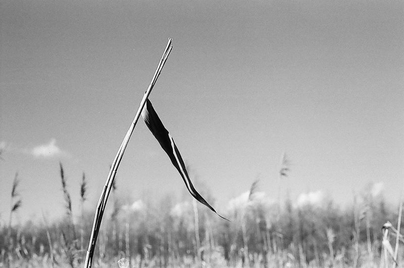 Kliknij obrazek, aby uzyskać większą wersję

Nazwa:	serty.jpg
Wyświetleń:	163
Rozmiar:	56,3 KB
ID:	163277