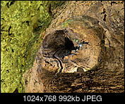 Kliknij obrazek, aby uzyskać większą wersję

Nazwa:	Jaskinie_01.jpg
Wyświetleń:	439
Rozmiar:	992,2 KB
ID:	163296