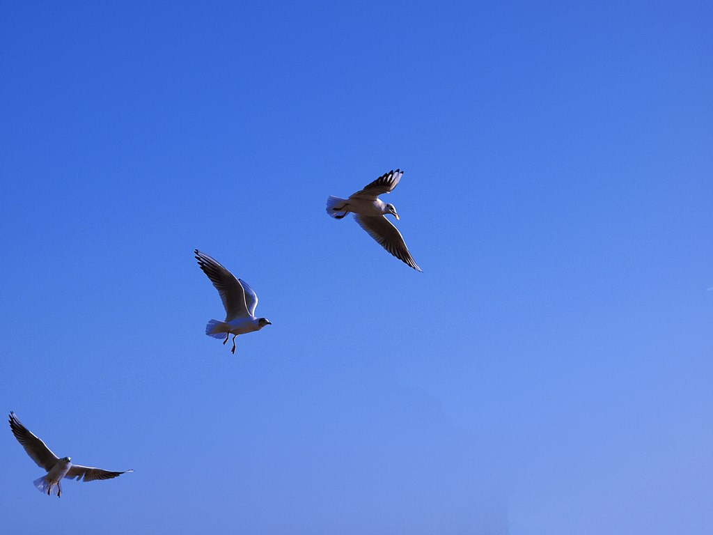 Kliknij obrazek, aby uzyskać większą wersję

Nazwa:	P2011449.JPG
Wyświetleń:	257
Rozmiar:	77,6 KB
ID:	163307