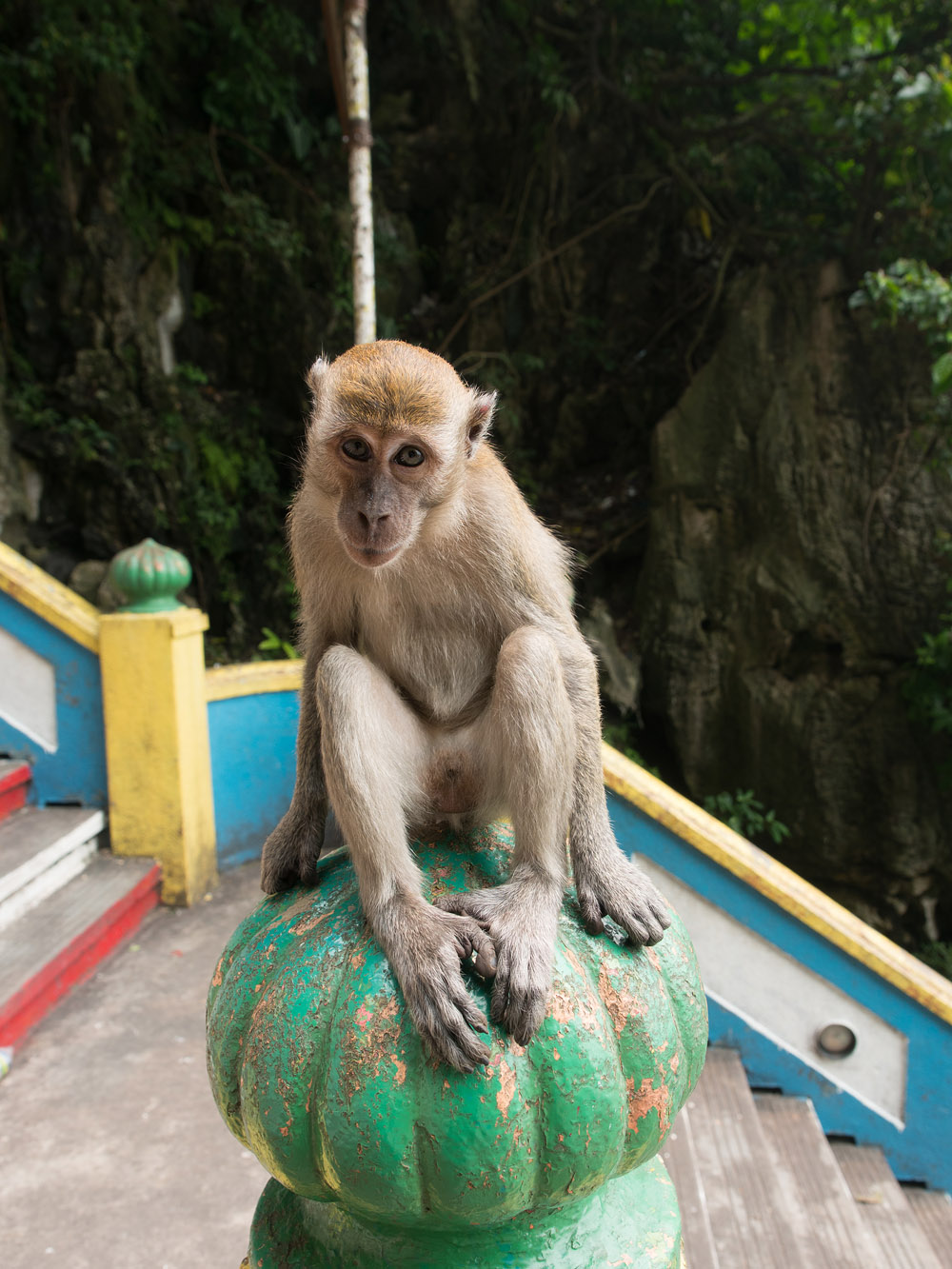 Kliknij obrazek, aby uzyskać większą wersję

Nazwa:	PA212773min.jpg
Wyświetleń:	226
Rozmiar:	294,3 KB
ID:	163392