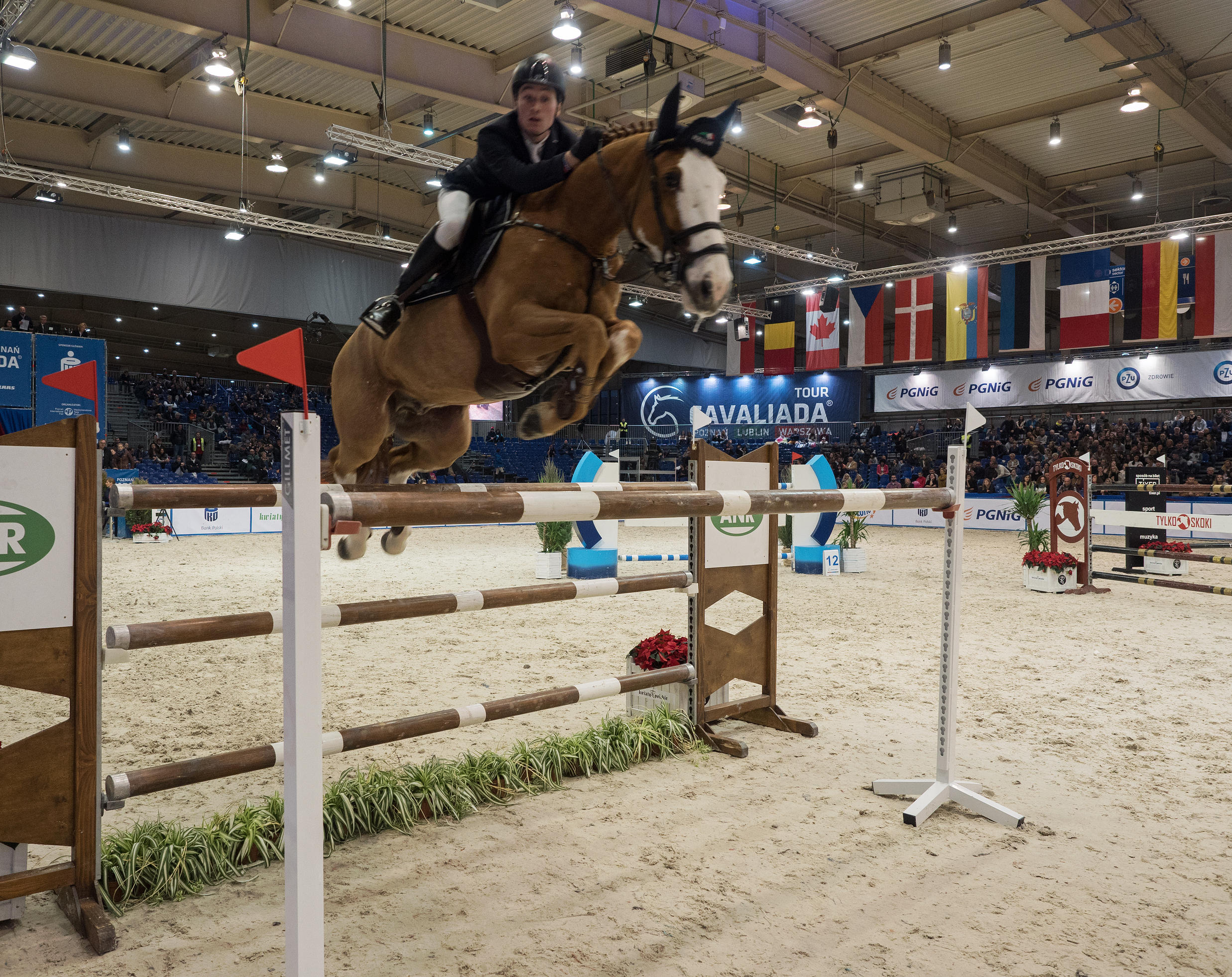 Kliknij obrazek, aby uzyskać większą wersję

Nazwa:	PC110382.jpg
Wyświetleń:	178
Rozmiar:	1,00 MB
ID:	163585