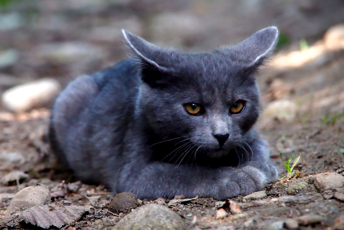 Kliknij obrazek, aby uzyskać większą wersję

Nazwa:	P9143450_DxO.jpg
Wyświetleń:	221
Rozmiar:	280,1 KB
ID:	163788