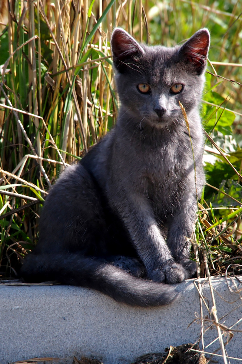 Kliknij obrazek, aby uzyskać większą wersję

Nazwa:	P9143462_DxO.jpg
Wyświetleń:	235
Rozmiar:	427,2 KB
ID:	163789