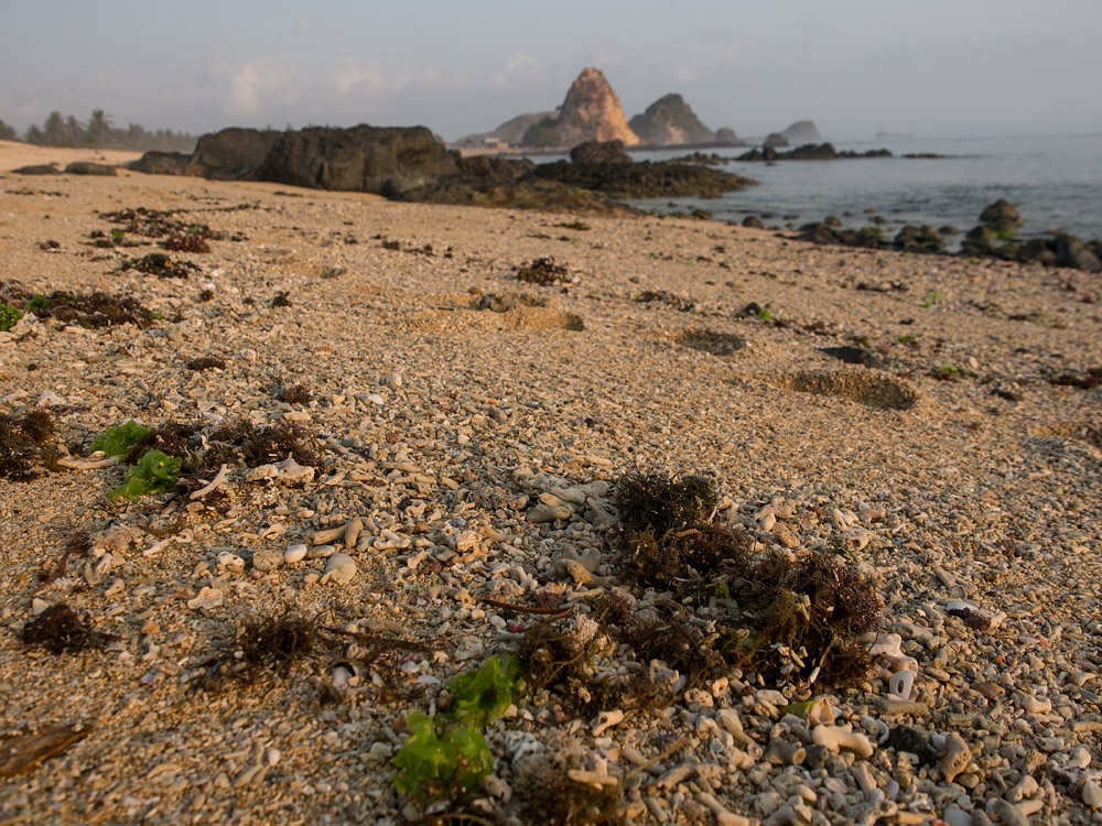 Kliknij obrazek, aby uzyskać większą wersję

Nazwa:	PA040853min.jpg
Wyświetleń:	192
Rozmiar:	370,8 KB
ID:	163797