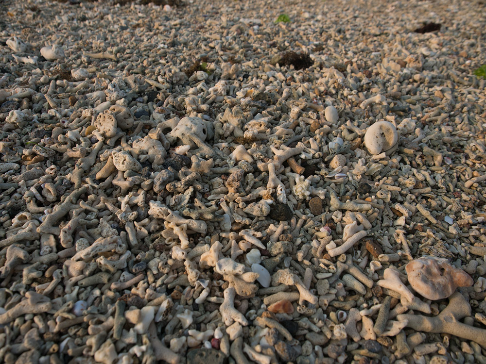 Kliknij obrazek, aby uzyskać większą wersję

Nazwa:	PA040852min.jpg
Wyświetleń:	205
Rozmiar:	375,3 KB
ID:	163798