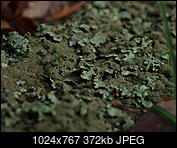 Kliknij obrazek, aby uzyskać większą wersję

Nazwa:	18122015_KK184834.JPG
Wyświetleń:	45
Rozmiar:	372,1 KB
ID:	163946