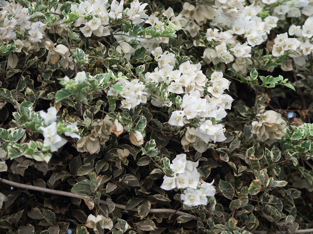 Kliknij obrazek, aby uzyskać większą wersję

Nazwa:	RA055813 (0)min.jpg
Wyświetleń:	170
Rozmiar:	344,4 KB
ID:	163974