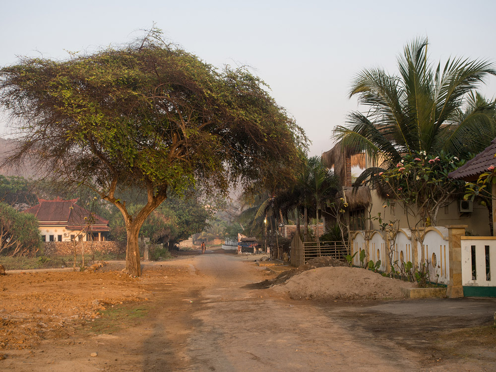 Kliknij obrazek, aby uzyskać większą wersję

Nazwa:	PA050869min.jpg
Wyświetleń:	173
Rozmiar:	336,1 KB
ID:	163976