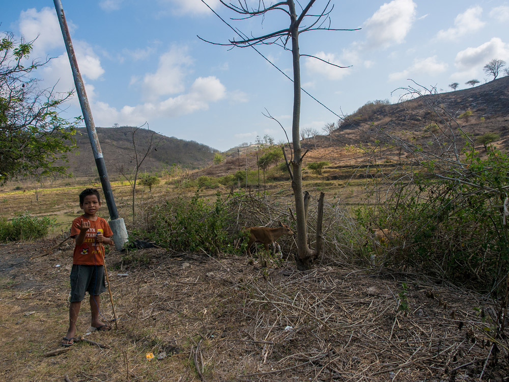 Kliknij obrazek, aby uzyskać większą wersję

Nazwa:	PA050873min.jpg
Wyświetleń:	168
Rozmiar:	372,7 KB
ID:	163986