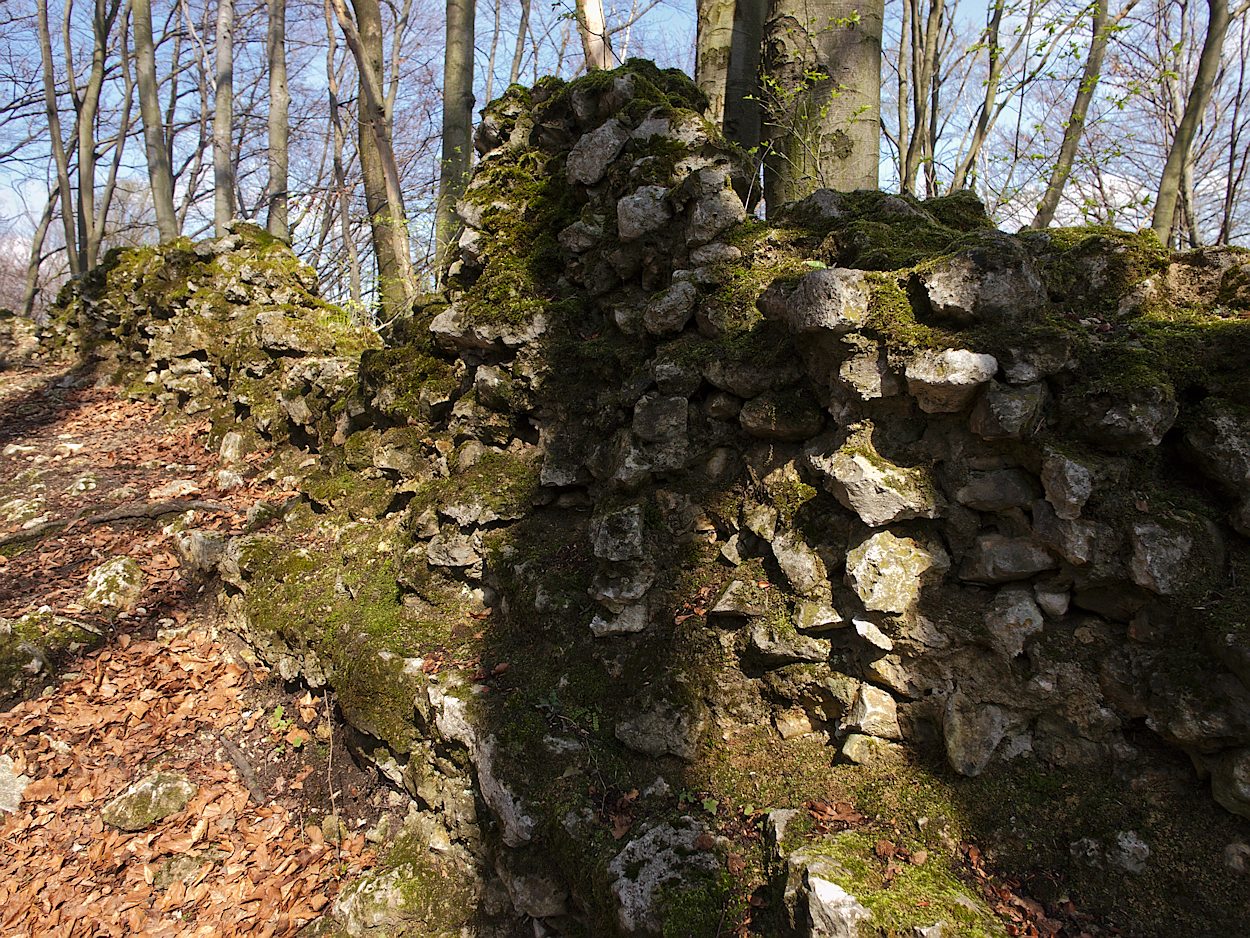 Kliknij obrazek, aby uzyskać większą wersję

Nazwa:	P4237553ol.jpg
Wyświetleń:	195
Rozmiar:	457,1 KB
ID:	164162