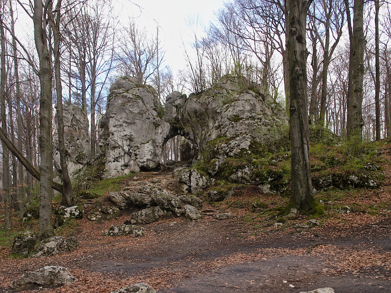 Kliknij obrazek, aby uzyskać większą wersję

Nazwa:	P4237613ol.jpg
Wyświetleń:	164
Rozmiar:	447,9 KB
ID:	164187