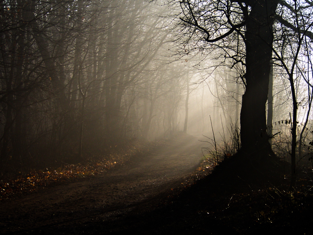 Kliknij obrazek, aby uzyskać większą wersję

Nazwa:	PC241283_1ah.jpg
Wyświetleń:	252
Rozmiar:	499,3 KB
ID:	164244