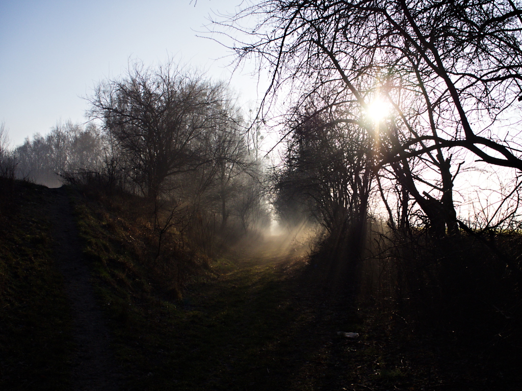 Kliknij obrazek, aby uzyskać większą wersję

Nazwa:	PC241284_1ah.jpg
Wyświetleń:	235
Rozmiar:	543,4 KB
ID:	164245