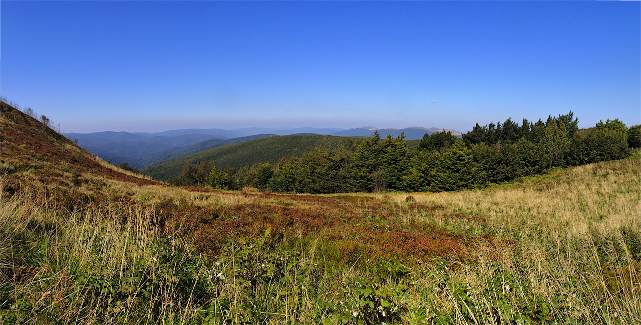Kliknij obrazek, aby uzyskać większą wersję

Nazwa:	rawka1.jpg
Wyświetleń:	675
Rozmiar:	472,6 KB
ID:	164532