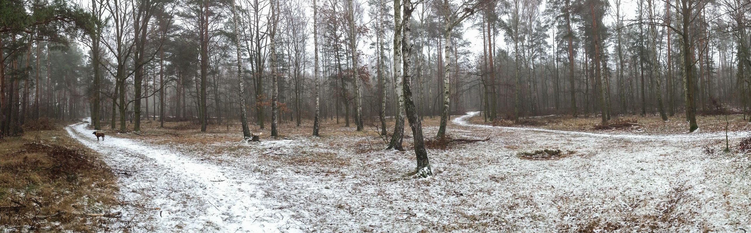 Kliknij obrazek, aby uzyskać większą wersję

Nazwa:	2016-01-01 13.49.27.jpg
Wyświetleń:	474
Rozmiar:	859,8 KB
ID:	164619