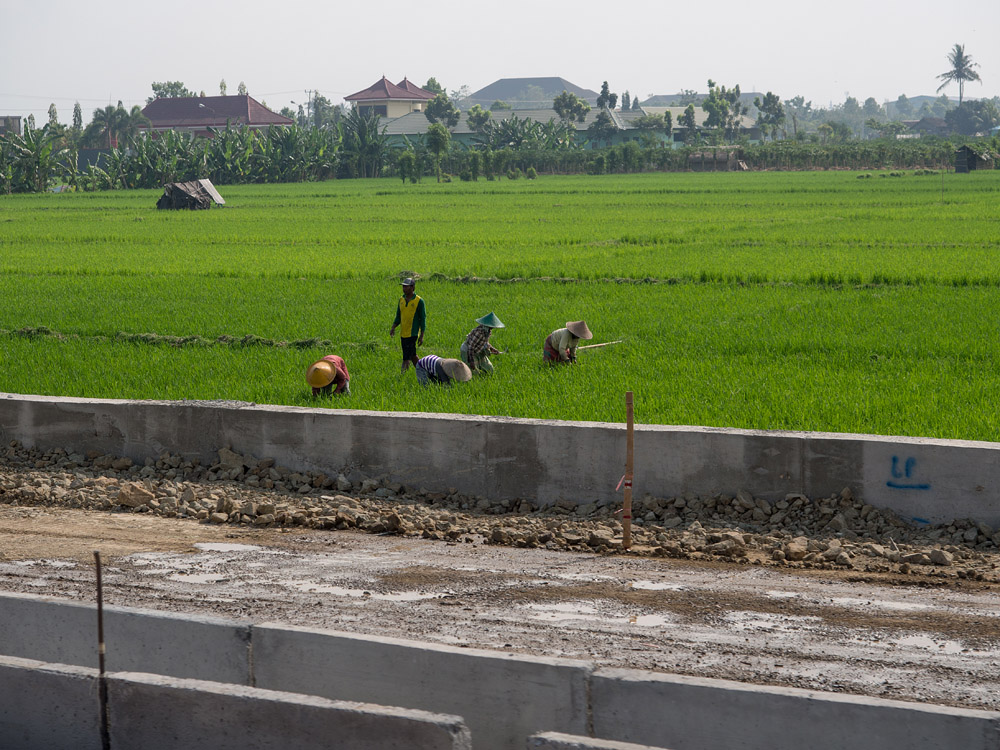 Kliknij obrazek, aby uzyskać większą wersję

Nazwa:	PA071158min.jpg
Wyświetleń:	258
Rozmiar:	299,7 KB
ID:	164635