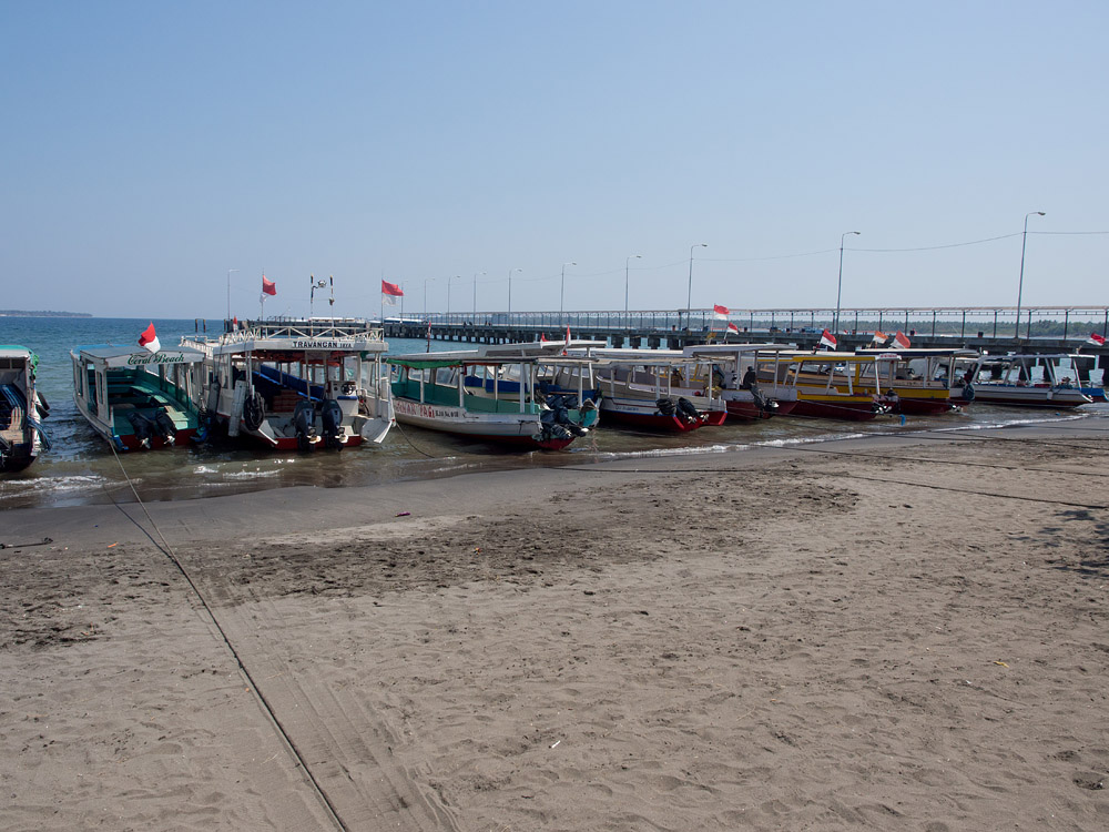 Kliknij obrazek, aby uzyskać większą wersję

Nazwa:	PA071163min.jpg
Wyświetleń:	266
Rozmiar:	224,5 KB
ID:	164637