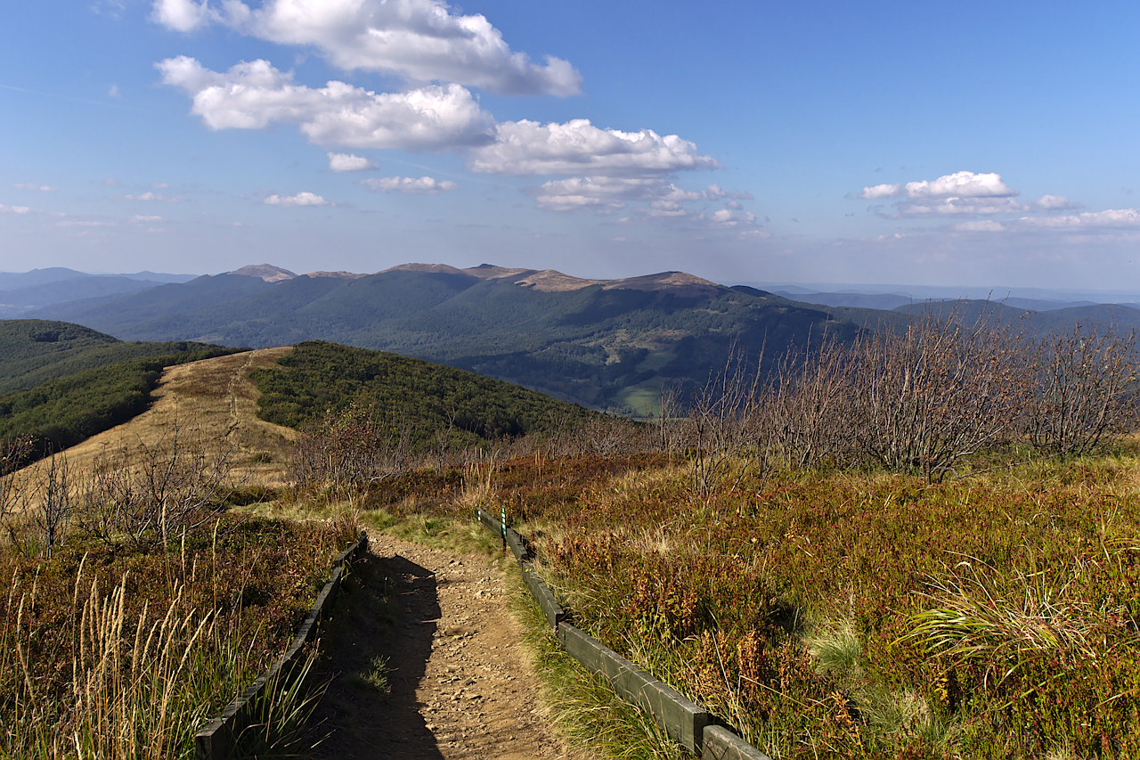 Kliknij obrazek, aby uzyskać większą wersję

Nazwa:	P9181650bp.jpg
Wyświetleń:	160
Rozmiar:	472,2 KB
ID:	164647