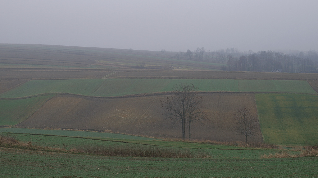 Kliknij obrazek, aby uzyskać większą wersję

Nazwa:	29122015_KK294917.1.jpg
Wyświetleń:	174
Rozmiar:	240,8 KB
ID:	164699