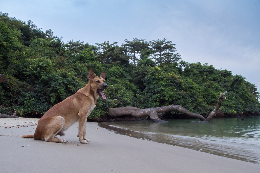 Kliknij obrazek, aby uzyskać większą wersję

Nazwa:	PC211580.JPG
Wyświetleń:	231
Rozmiar:	497,3 KB
ID:	164706