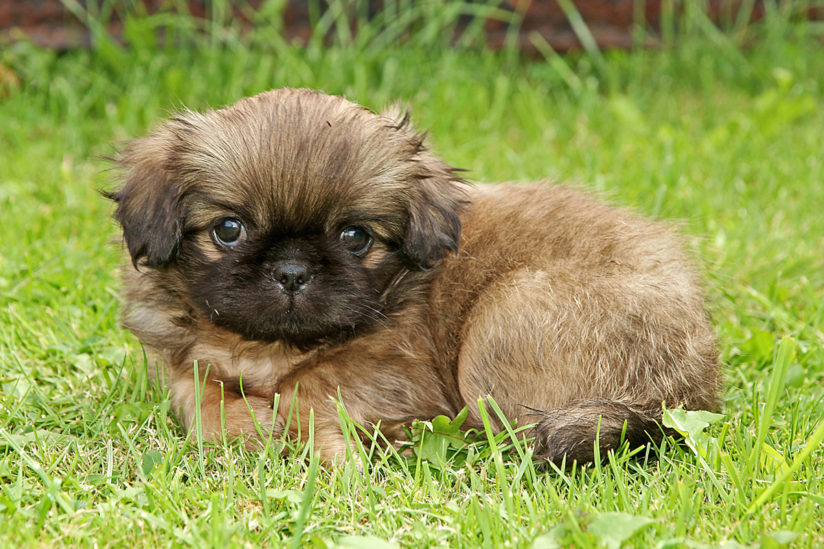 Kliknij obrazek, aby uzyskać większą wersję

Nazwa:	DSC04800.JPG
Wyświetleń:	246
Rozmiar:	783,7 KB
ID:	164724