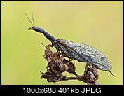 Kliknij obrazek, aby uzyskać większą wersję

Nazwa:	P6280435_1_1000_1.jpg
Wyświetleń:	167
Rozmiar:	401,3 KB
ID:	164831