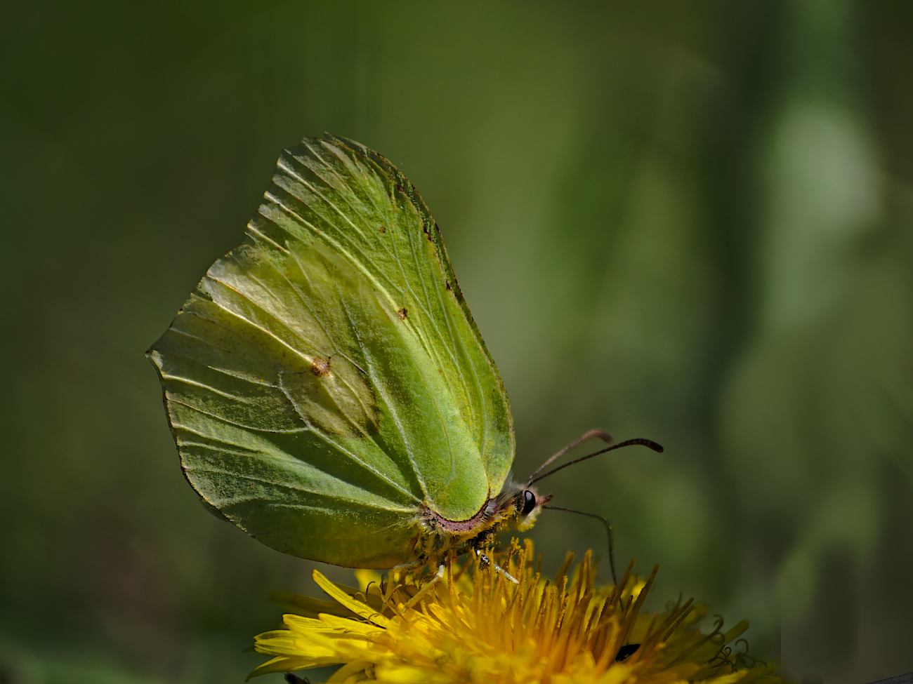 Kliknij obrazek, aby uzyskać większą wersję

Nazwa:	P5020429bp.jpg
Wyświetleń:	451
Rozmiar:	480,6 KB
ID:	164959