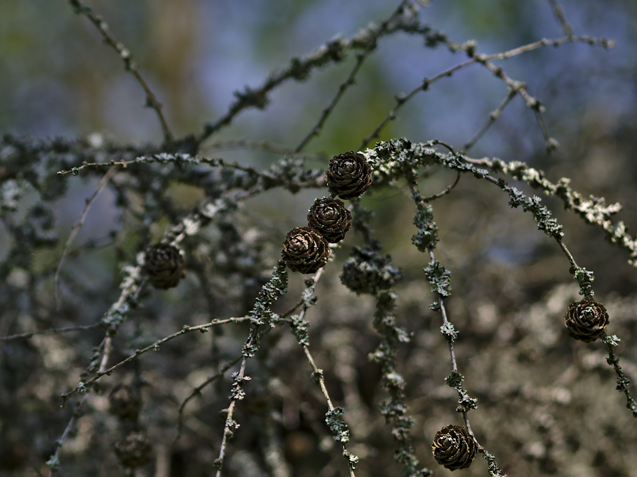 Kliknij obrazek, aby uzyskać większą wersję

Nazwa:	P5020365bp.jpg
Wyświetleń:	444
Rozmiar:	508,1 KB
ID:	164963