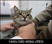 Kliknij obrazek, aby uzyskać większą wersję

Nazwa:	S0029186.JPG
Wyświetleń:	90
Rozmiar:	493,4 KB
ID:	164998