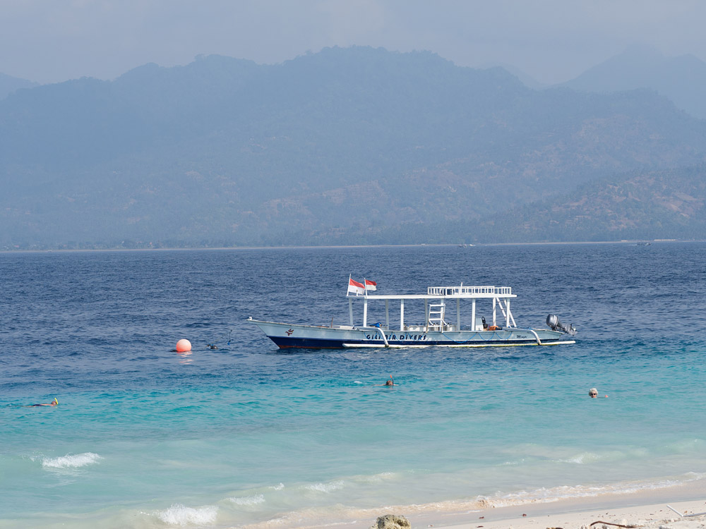 Kliknij obrazek, aby uzyskać większą wersję

Nazwa:	RA075868min.jpg
Wyświetleń:	233
Rozmiar:	183,9 KB
ID:	165016