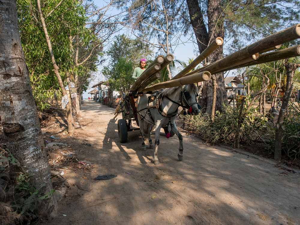 Kliknij obrazek, aby uzyskać większą wersję

Nazwa:	PA071179min.jpg
Wyświetleń:	233
Rozmiar:	433,6 KB
ID:	165017