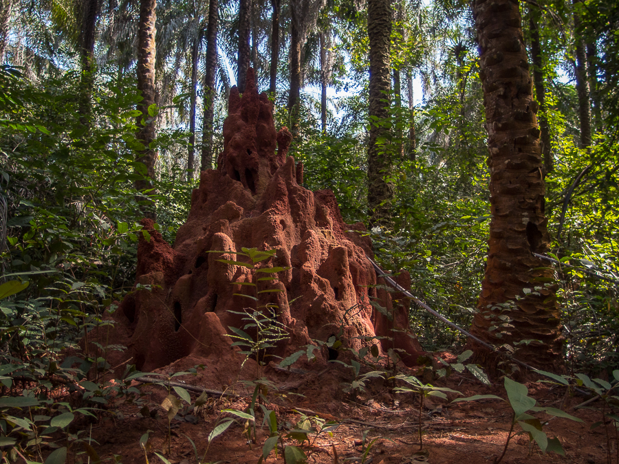 Kliknij obrazek, aby uzyskać większą wersję

Nazwa:	PC201538.JPG
Wyświetleń:	288
Rozmiar:	943,2 KB
ID:	165035