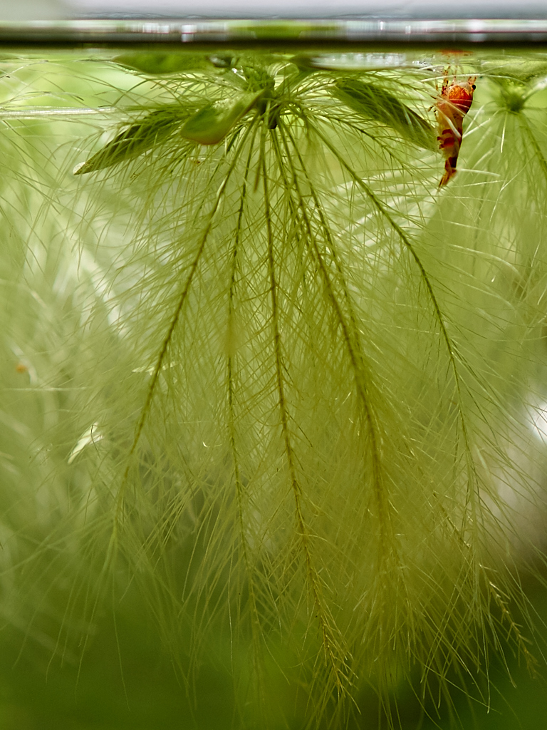 Kliknij obrazek, aby uzyskać większą wersję

Nazwa:	P1090361_1.jpg
Wyświetleń:	181
Rozmiar:	525,4 KB
ID:	165055